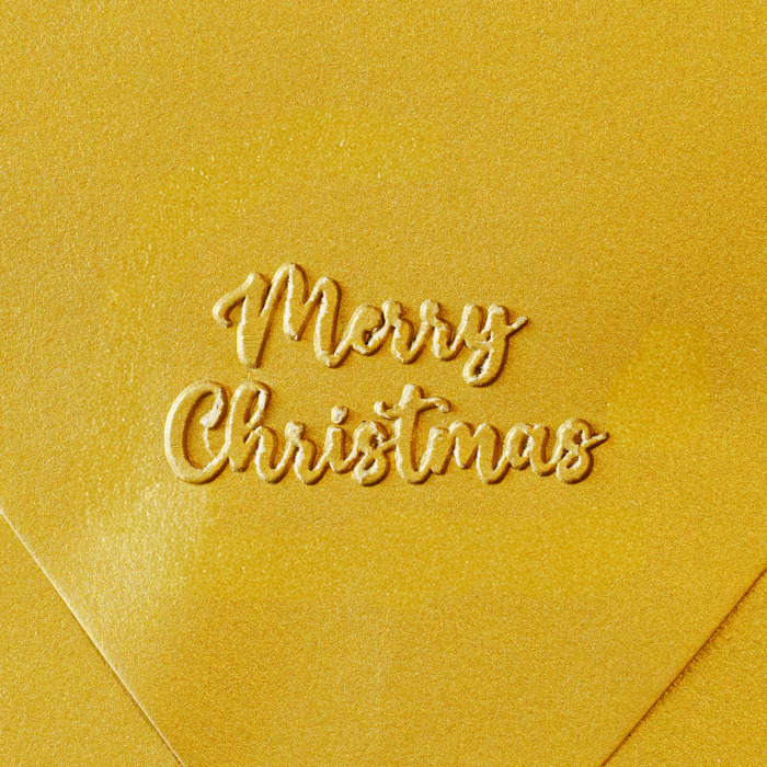 Holiday Embosser Festive Christmas Envelope Seal Custom Plastic Stamp for Cards & Stationery Gifts