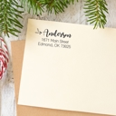 Design 3 Custom Holiday Address Stamps 