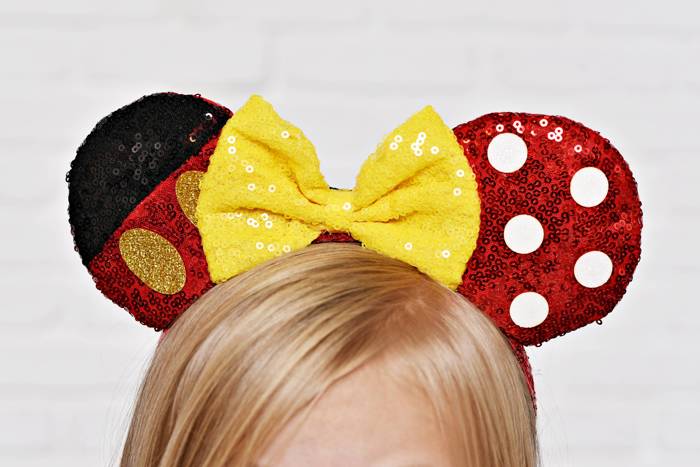 Character Mouse Ears