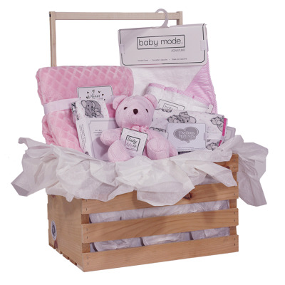 16 Piece Baby Blankets and Bath Crate Set, Pink