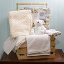  16 Piece Baby Blankets and Bath Crate Set, Ivory