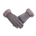 Gray Clarissa Suede Touch Gloves 