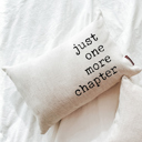  Just One More Chapter Bookish Pillow