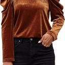  Velvet Puff Sleeve Top - A Rust Brown