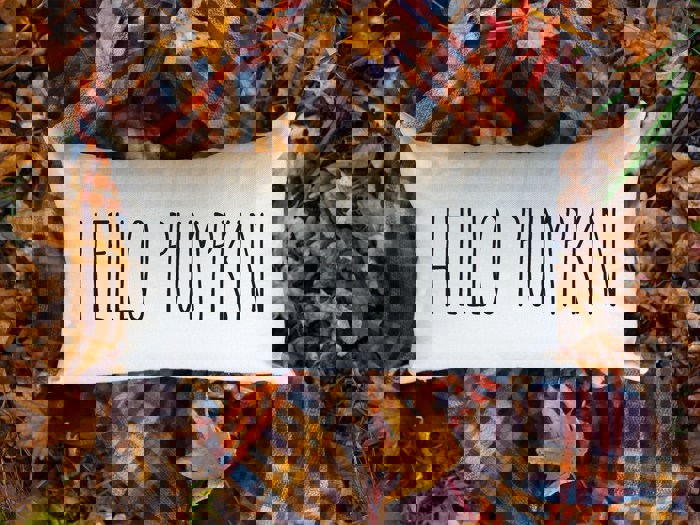 Hello Pumpkin Autumn Home Decor Fall 2025 Lumbar Pillow