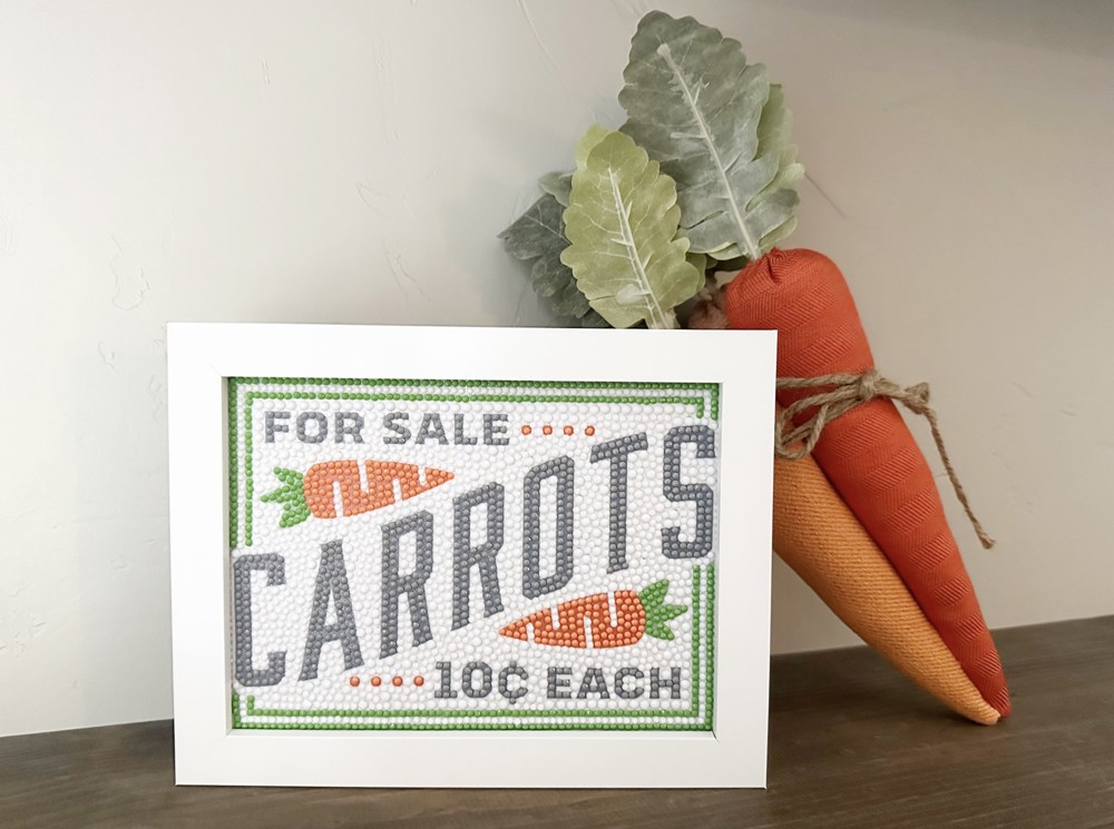 Carrots Diamond Art Kit