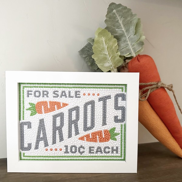 Carrots Diamond Art Kit