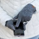  C.C® Heather Gloves | AILI'S CORNER