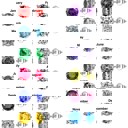  Sterling Silver 6mm CZ Birthstone Stud Earrings