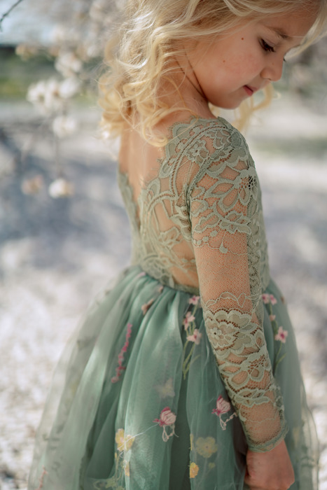Floral Embroidered Tulle Dress – Long Sleeve Knee Length