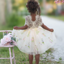 Champagne 6-12M Floral Embroidered Tulle Dress – Short Sleeve Knee Length   7 Colors 