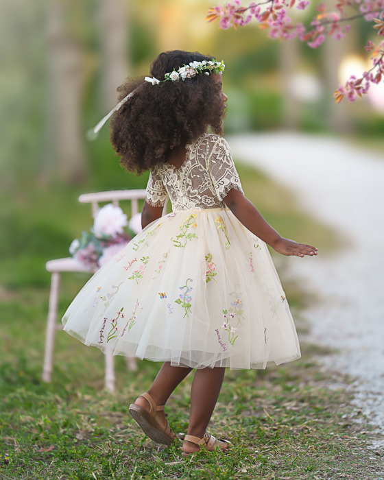 Floral Embroidered Tulle Dress – Short Sleeve Knee Length   7 Colors 