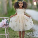  Floral Embroidered Tulle Dress – Short Sleeve Knee Length   7 Colors 