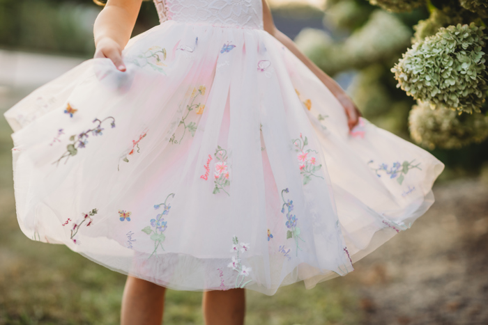 Floral Embroidered Tulle Dress – Sleeveless Knee Length
