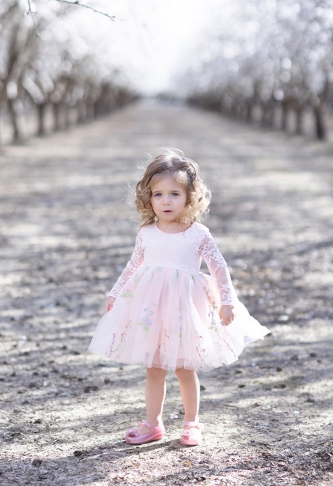 Floral Embroidered Tulle Dress – Long Sleeve Knee Length