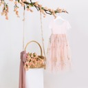 Pink 6-12M Floral Embroidered Tulle Dress – Short Sleeve Knee Length   7 Colors 