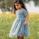  Floral Embroidered Tulle Dress – Short Sleeve Knee Length   7 Colors 