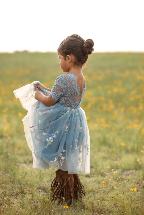 Floral Embroidered Tulle Dress – Short Sleeve Knee Length   7 Colors 