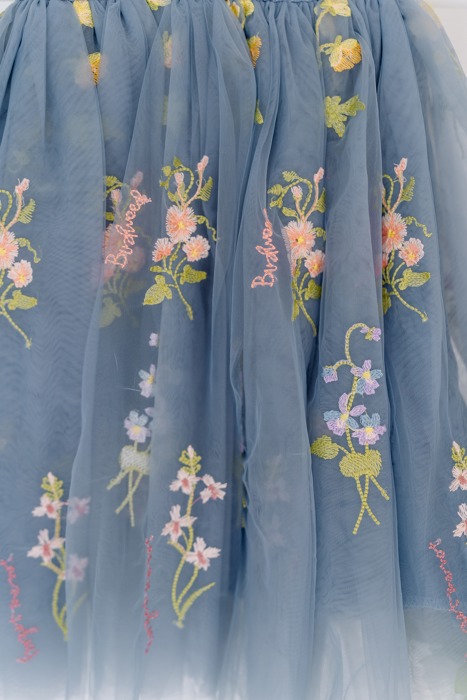 Floral Embroidered Tulle Dress – Sleeveless Knee Length