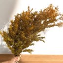 Brown Artificial Rosemary Branch Arrangement for Home Decor