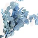 Blue Decorative Dried Eucalyptus Stems for Home Decoration and Crafting Arrangements, 26.5 Inches