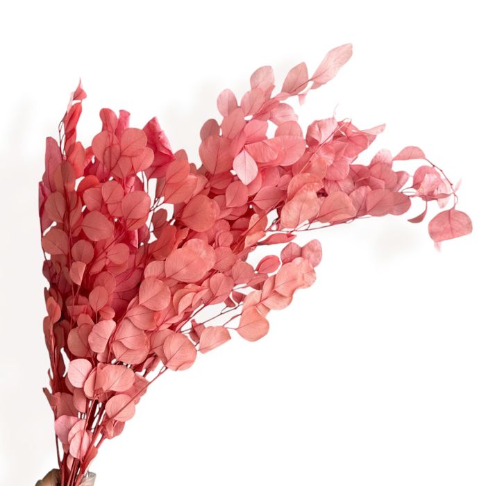 Decorative Dried Eucalyptus Stems for Home Decoration and Crafting Arrangements, 26.5 Inches