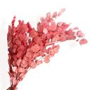 Pink Decorative Dried Eucalyptus Stems for Home Decoration and Crafting Arrangements, 26.5 Inches