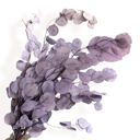 Purple Decorative Dried Eucalyptus Stems for Home Decoration and Crafting Arrangements, 26.5 Inches