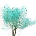  Decorative Dried Ming Fern Stems for Elegant Home Decoration and Creative Floral Arrangements, 19.5 Inches