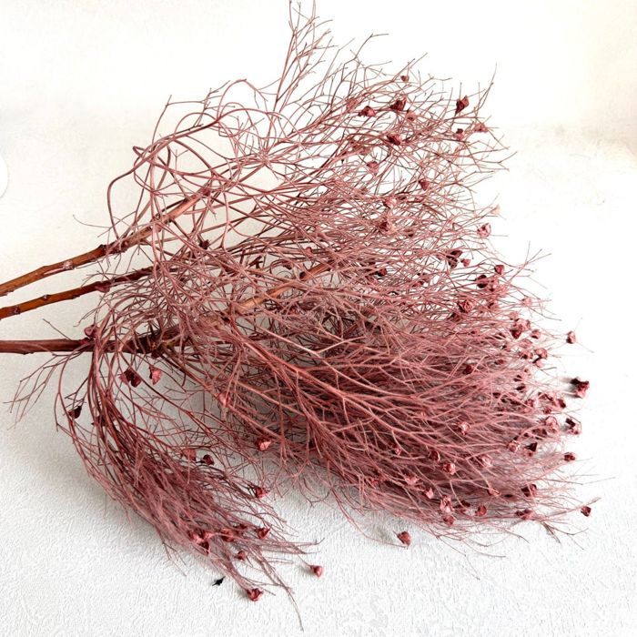 Decorative Dried Ming Fern Stems for Elegant Home Decoration and Creative Floral Arrangements, 19.5 Inches