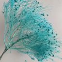 Blue Decorative Dried Ming Fern Stems for Elegant Home Decoration and Creative Floral Arrangements, 19.5 Inches