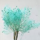 Blue Decorative Dried Ming Fern Stems for Elegant Home Decoration and Creative Floral Arrangements, 19.5 Inches