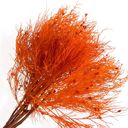 Orange Decorative Dried Ming Fern Stems for Elegant Home Decoration and Creative Floral Arrangements, 19.5 Inches