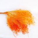 Orange Decorative Dried Ming Fern Stems for Elegant Home Decoration and Creative Floral Arrangements, 19.5 Inches