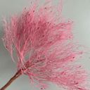 Pink Decorative Dried Ming Fern Stems for Elegant Home Decoration and Creative Floral Arrangements, 19.5 Inches