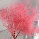 Pink Decorative Dried Ming Fern Stems for Elegant Home Decoration and Creative Floral Arrangements, 19.5 Inches