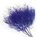 Purple Decorative Dried Ming Fern Stems for Elegant Home Decoration and Creative Floral Arrangements, 19.5 Inches