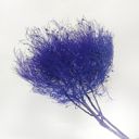 Purple Decorative Dried Ming Fern Stems for Elegant Home Decoration and Creative Floral Arrangements, 19.5 Inches