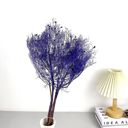 Purple Decorative Dried Ming Fern Stems for Elegant Home Decoration and Creative Floral Arrangements, 19.5 Inches