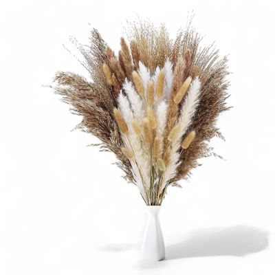 Decorative Tall Dried Grass Bouquet for Home Decoration and Event Centerpieces, 17.5 Inches