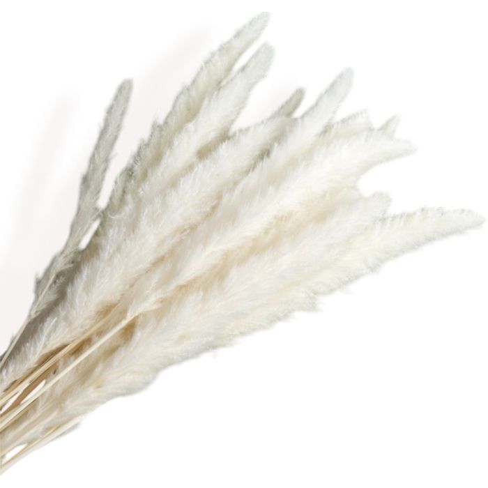 Decorative Tall Dried Grass Bouquet for Home Decoration and Event Centerpieces, 17.5 Inches