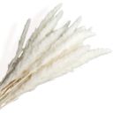 Beige Decorative Tall Dried Grass Bouquet for Home Decoration and Event Centerpieces, 17.5 Inches