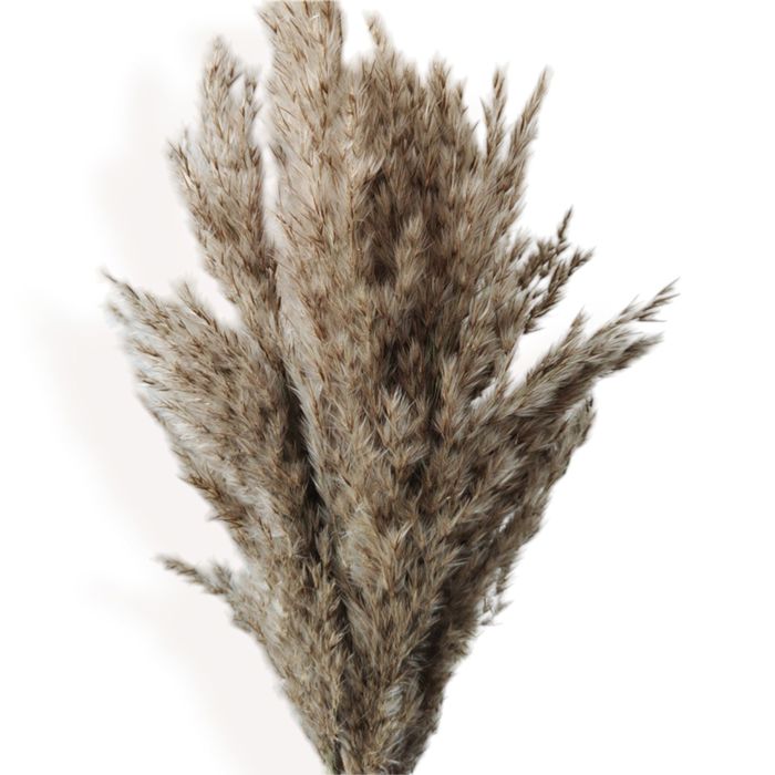 Decorative Tall Dried Grass Bouquet for Home Decoration and Event Centerpieces, 17.5 Inches