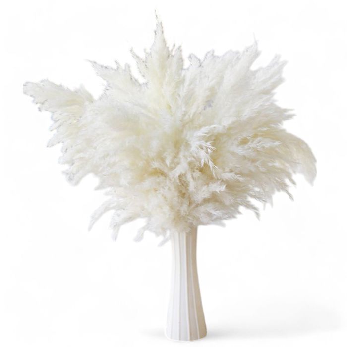 Decorative Dried Pampas Grass for Elegant Home Decoration and Floral Arrangements, 17 Inches