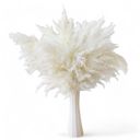  Decorative Dried Pampas Grass for Elegant Home Decoration and Floral Arrangements, 17 Inches