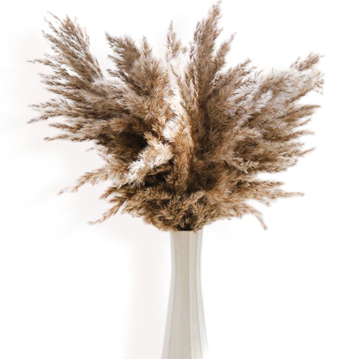 Decorative Dried Pampas Grass for Elegant Home Decoration and Floral Arrangements, 17 Inches