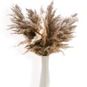 Brown Decorative Dried Pampas Grass for Elegant Home Decoration and Floral Arrangements, 17 Inches