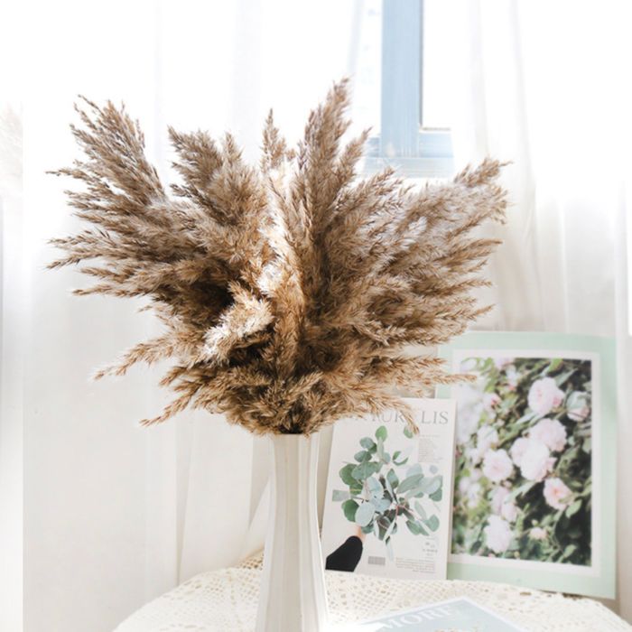 Decorative Dried Pampas Grass for Elegant Home Decoration and Floral Arrangements, 17 Inches