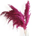 Pink Decorative Dried Pampas Grass for Elegant Home Decoration and Floral Arrangements, 17 Inches