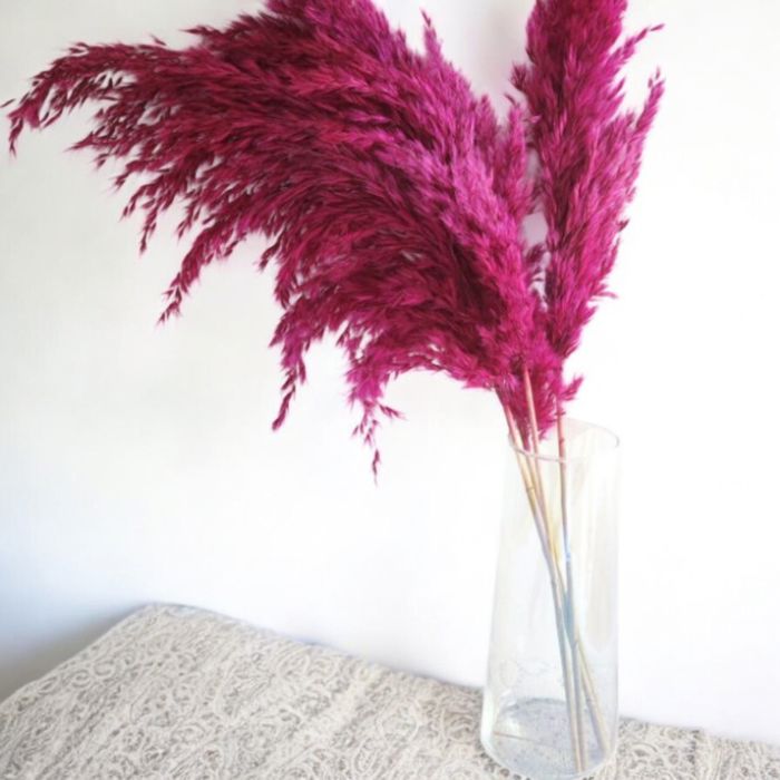 Decorative Dried Pampas Grass for Elegant Home Decoration and Floral Arrangements, 17 Inches